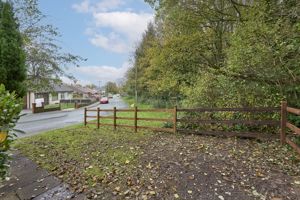 Photo 39- click for photo gallery